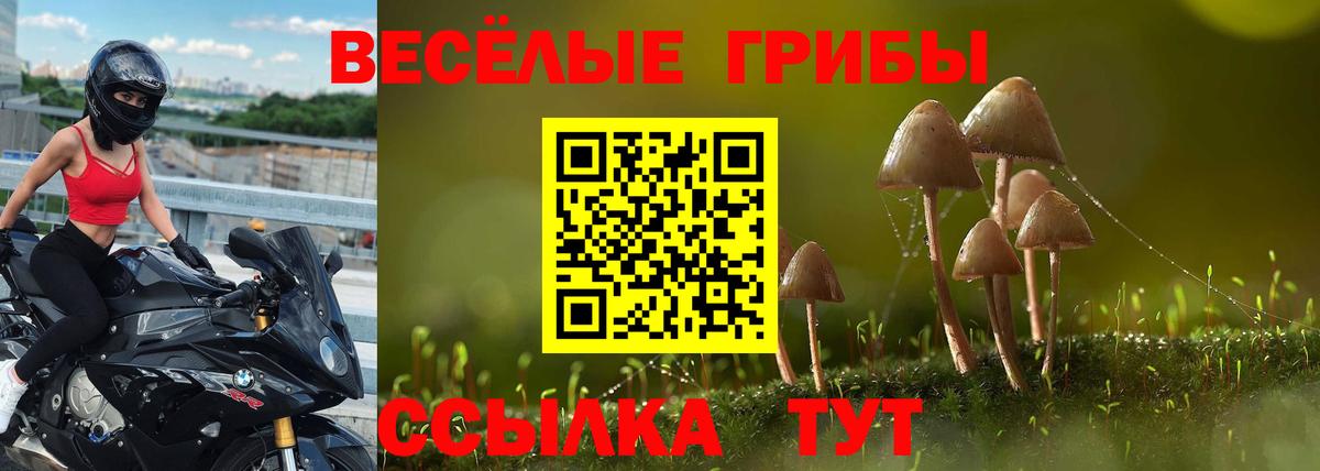 цены   Вход с VPN  Сегежа  Псилоцибиновые грибы MAGIC MUSHROOMS 