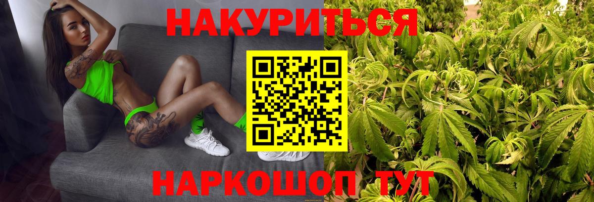 Канабис SATIVA & INDICA Сегежа